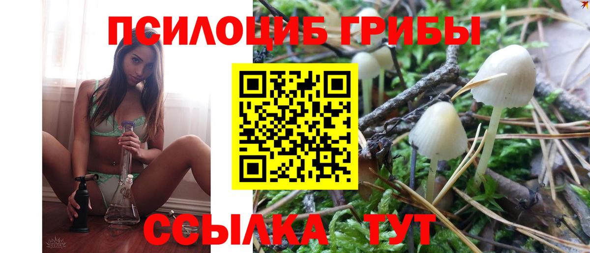 Галлюциногенные грибы GOLDEN TEACHER  Вход с VPN  где купить наркоту  Бугуруслан 