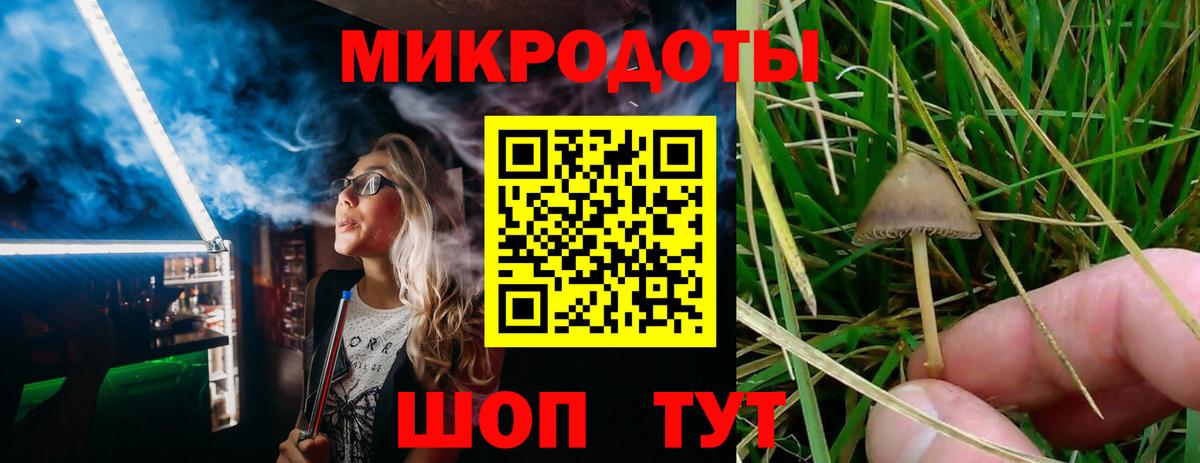 Галлюциногенные грибы MAGIC MUSHROOMS Бугуруслан